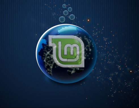 Install Flash Plugin on Linux Mint 16 Petra - Featured