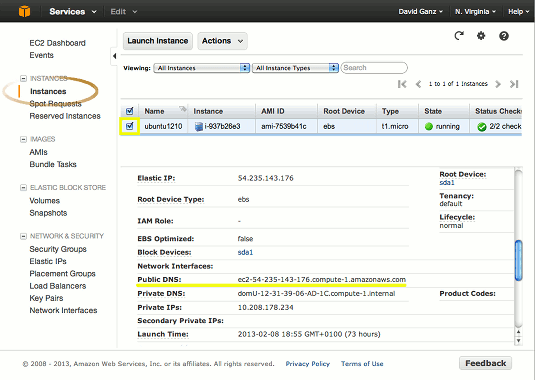 Amazon AWS EC2 Dashboard - Public DNS
