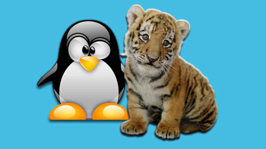 Tomcat on Linux