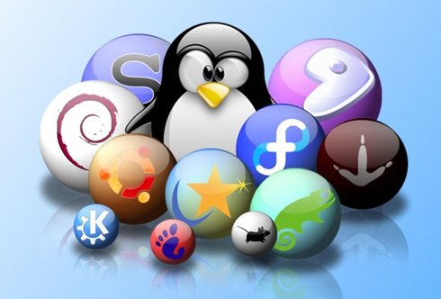 Linux Crazy Penguin Distros