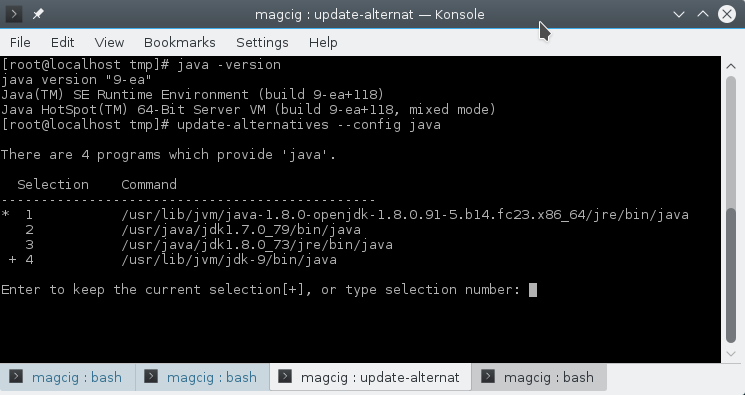 getting-started with Oracle JDK 9 on Debian - JDK Configuration