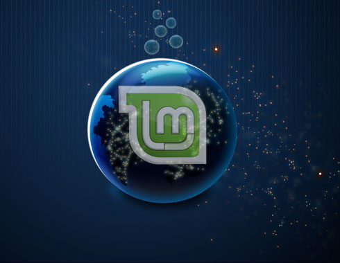 Install Flash Plugin on Linux Mint 15 Cinnamon - Featured