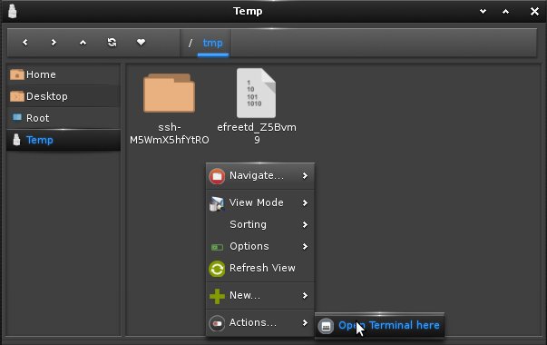 Installing Aptana Studio 3 on Linux Bodhi - Open Terminal on /tmp