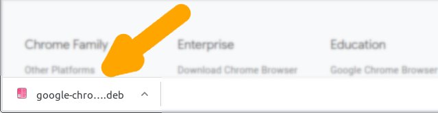 AppImageLauncher Getting-Started - Chrome Bottom Panel Downloads