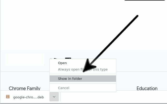 Chrome Bottom Bar Show in Folder
