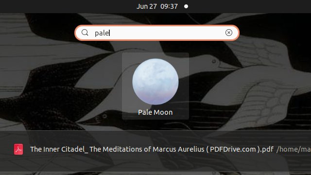 Pale Moon Ubuntu 20.04 Installation Guide - Launcher