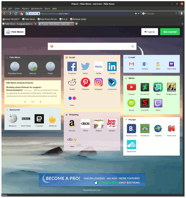 Pale Moon Linux Mint 18 Installation Guide - UI