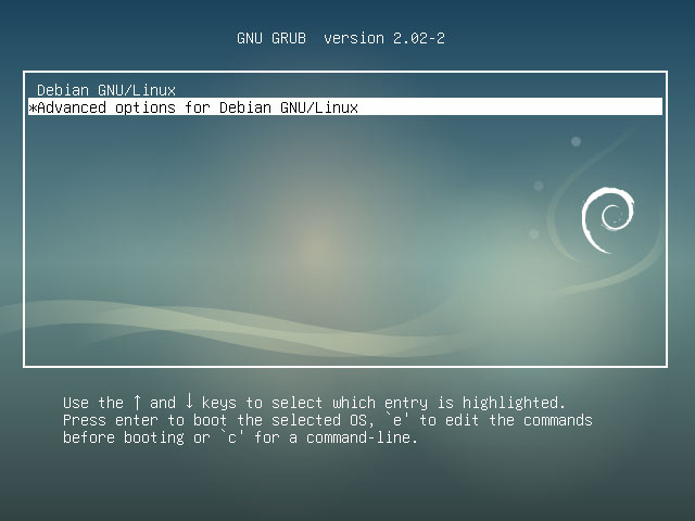 Debian Stretch Boot Single User Mode Easy Guide - Debian GRUB Splash
