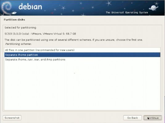 Linux-Debian Guided Partitioning 3