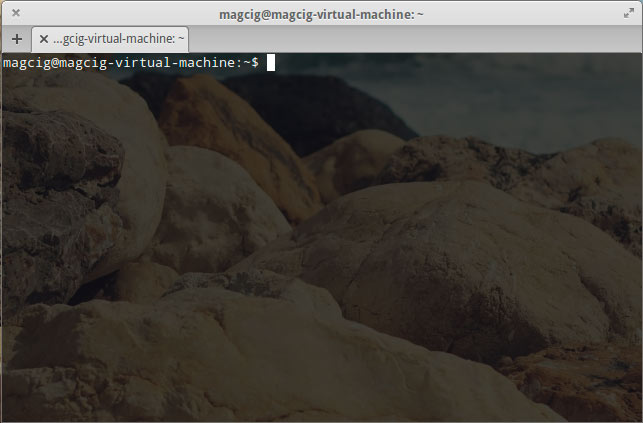 Fixing Shellshock Vulnerability on Elementary OS Linux - Open Terminal