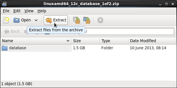 Linux Oracle 12c Database Extraction