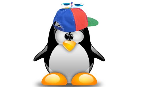 Fedora Linux Penguin