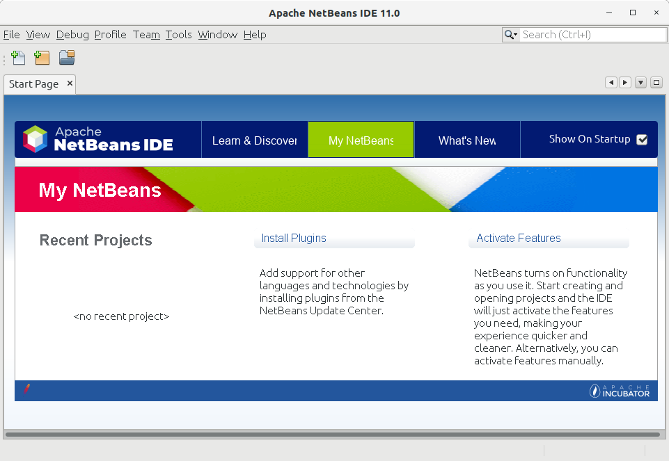 Step-by-step NetBeans 21 Fedora 33 Installation - UI