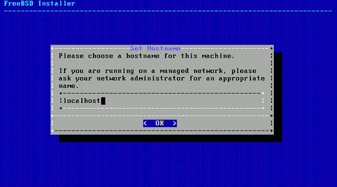 Install FreeBSD 9 KDE 4 Set Hostname