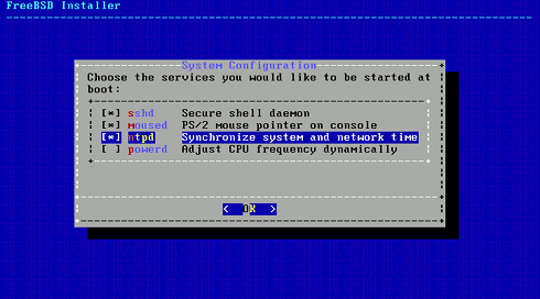 Install FreeBSD 9 KDE 4 Select Services Start Boot Time