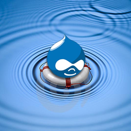 Drupal Lifebuoy