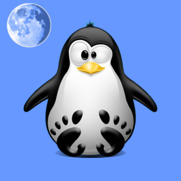 How to Add Pale Moon Repository for Ubuntu-based Systems - Featured