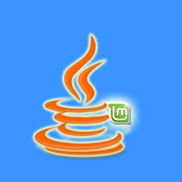 Java On Linux Mint