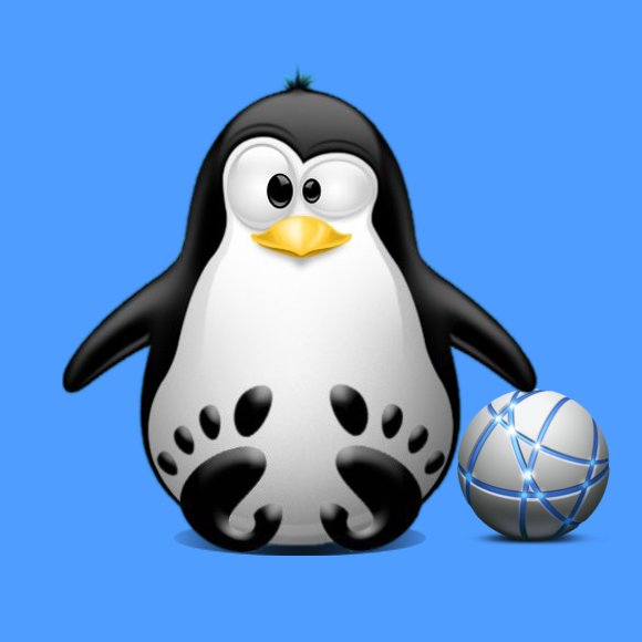 Ubuntu 24.04 VMware Virtual Machine No Internet Connection