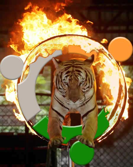 Tiger Through Ubuntu Fire