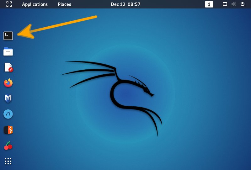 How to Install Skype on Kali Linux 2022 - Open Terminal