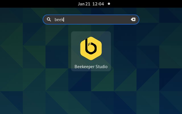 Beekeeper Studio Ubuntu 20.04 Installation Guide - Launcher