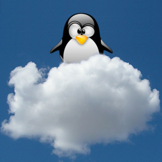 Linux Penguin on the Cloud