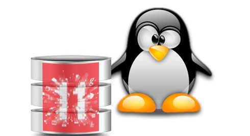 Linux Penguin Oracle 12c