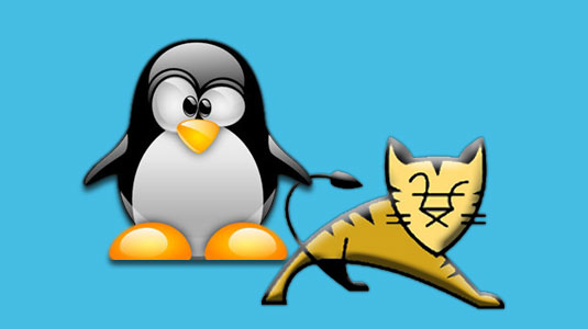 Tomcat on Linux