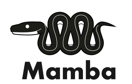 Install Mamba on Ubuntu 20.04: Fast Conda Alternative Setup Install Mamba on Ubuntu 20.04: Fast Conda Alternative Setup