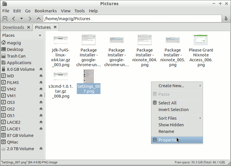 Lubuntu File Manager - File Properties