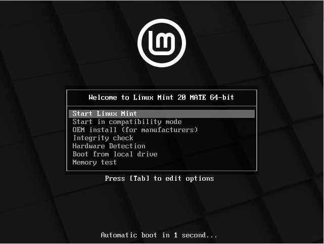 Step-by-step Linux Mint 20 Alongside Windows 11 Installation - Launching Mint Live