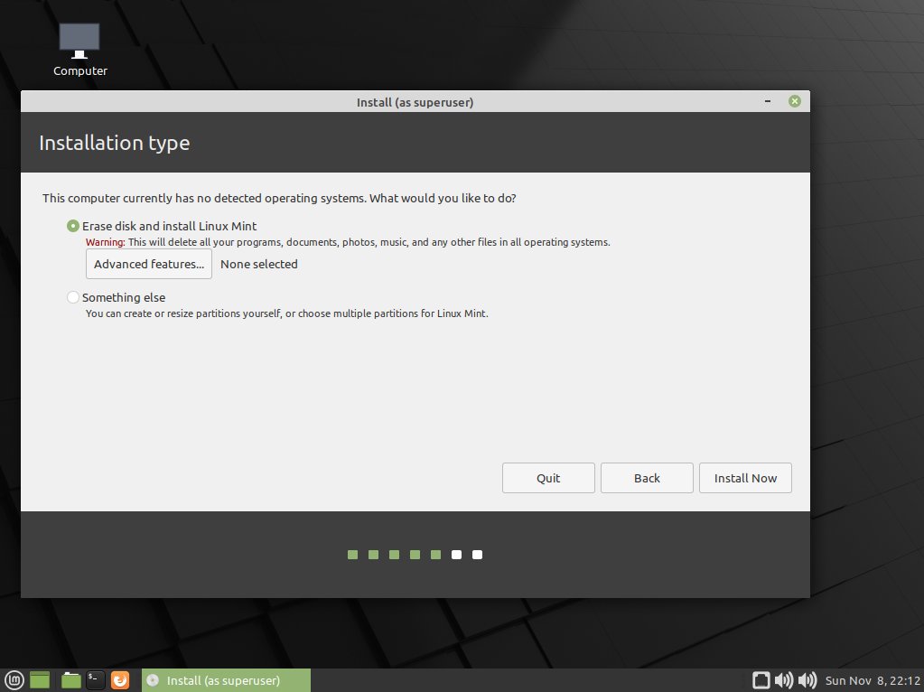 Install Linux Mint 20.x Mate on VirtualBox - Formatting Disk