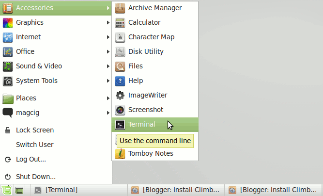 Linux Mint 19.x Tara/Tessa/Tina/Tricia Shrink LVM with Swap - Open Terminal