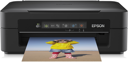 Step-by-step Driver Epson Printer XP-205/XP-206 Installation in Ubuntu 22.04 - Featured