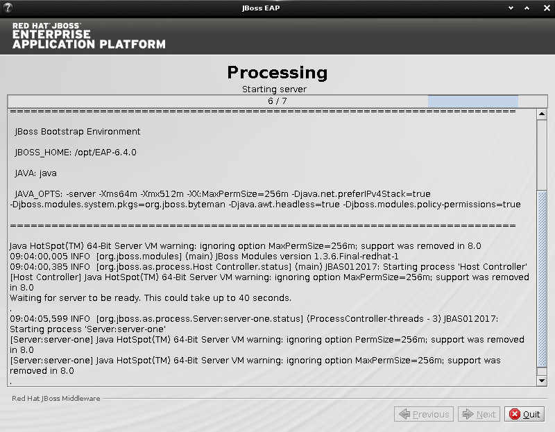 JBoss EAP Installation on Debian 7 Wheezy Linux - Processing