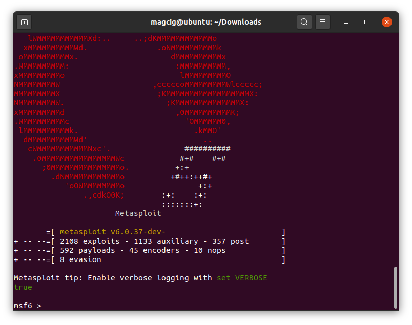 How to Install Metasploit Framework in EndeavourOS Linux - Prompt