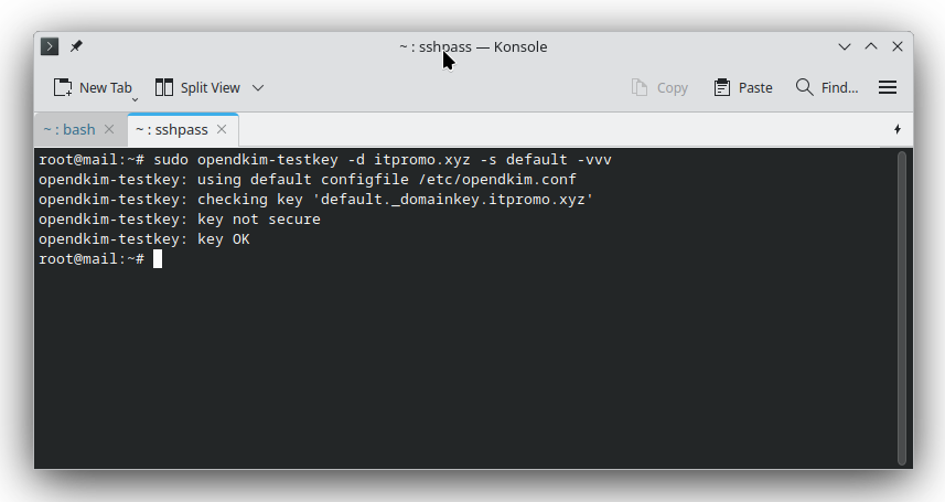 Step-by-Step DKIM Setup for Arch Linux - Achieved