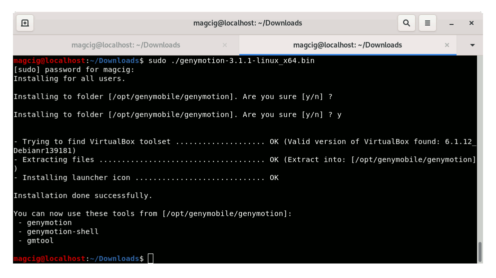 Step-by-step Genymotion Ubuntu 20.10 Installation Guide - Terminal output