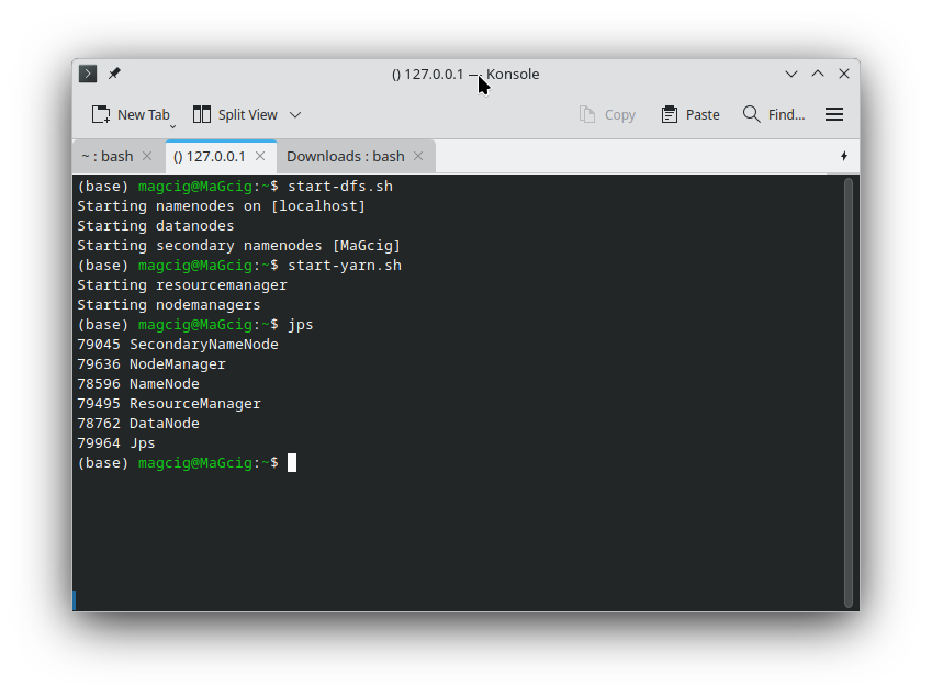 Starting Hadoop nodes