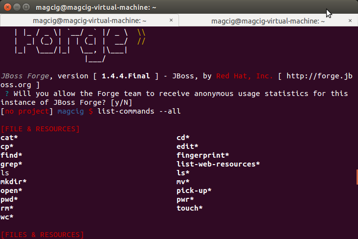 Quick-Start JBoss Forge Ubuntu - JBoss Forge on Terminal