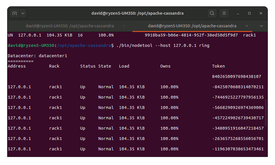 Nodetool output