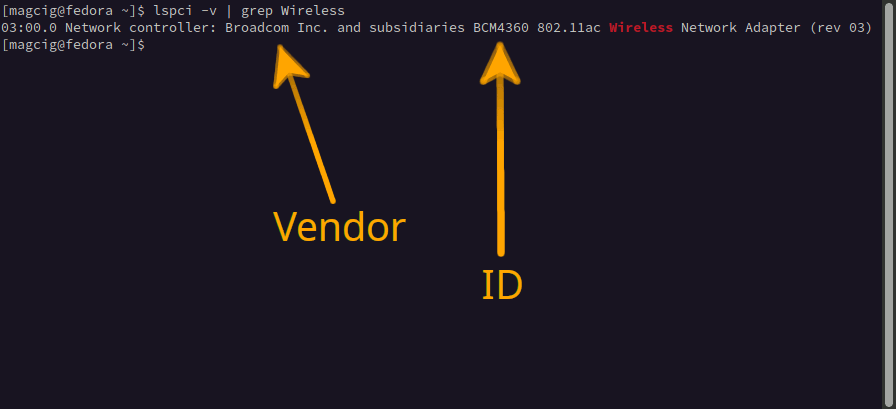 How to Find WiFi/Bluetooth Card Model in Kali - Terminal Output