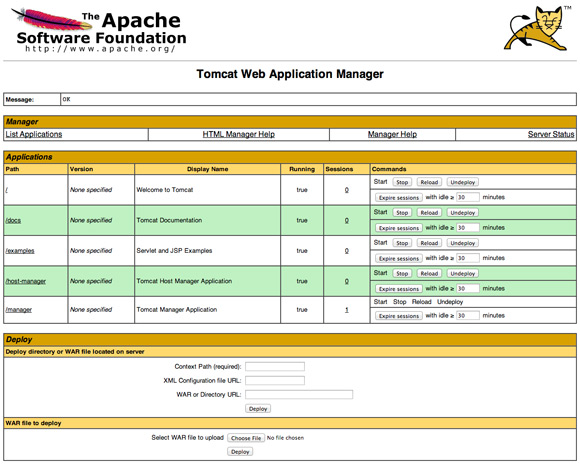 Apache Tomcat 10 Run Manager App