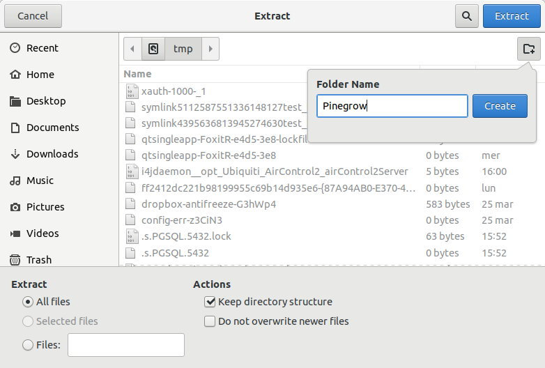 How to Install Pinegrow in Debian Bullseye 11 - Making Folder