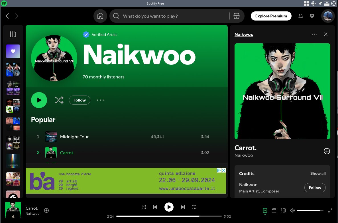 Spotify NAIKWOO