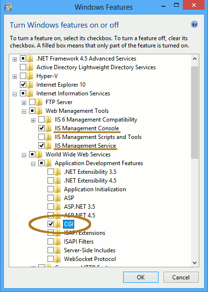 Enable IIS 8 with CGI for PHP on Windows 8 - Enabling IIS8 with CGI Support