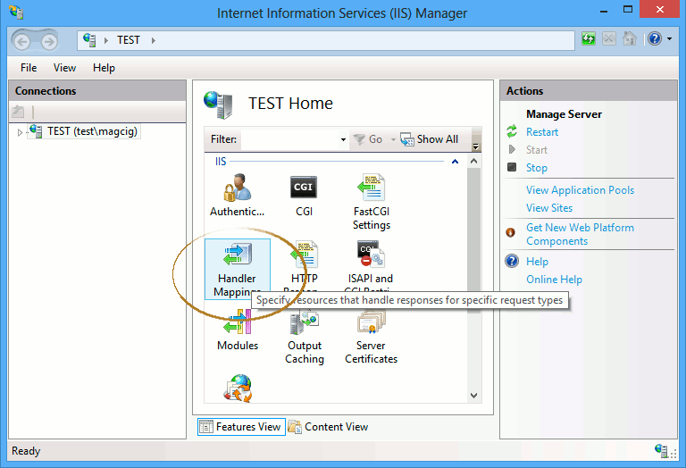 Windows 8 IIS 8 Setup for PHP5 Integration - IIS8 Handler Mappings