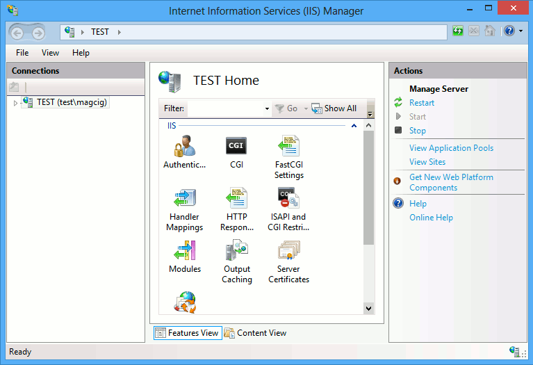 Win8 IIS8 Manager
