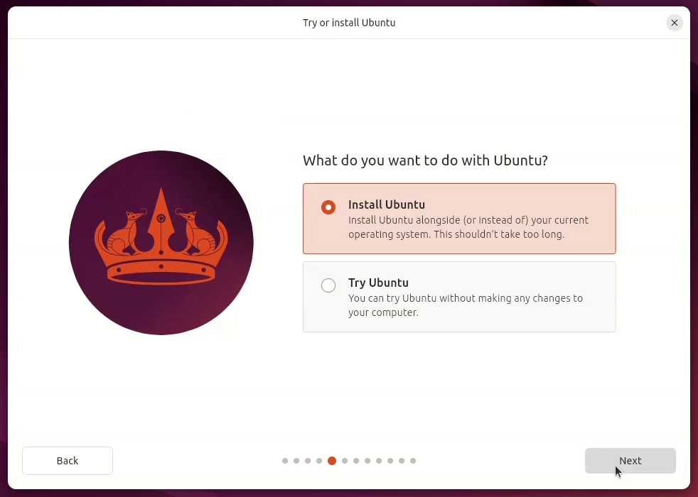 How to Dual Boot Ubuntu 24.04 and Windows 10 | Step-by-step - Try or install Ubuntu